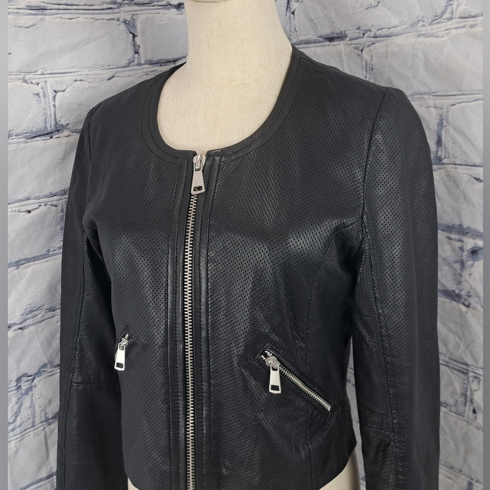Bagatelle NYC Women's Genuine Leather Jacket Perforated Cropped Zip Cuffs Medium - Picture 13 of 16